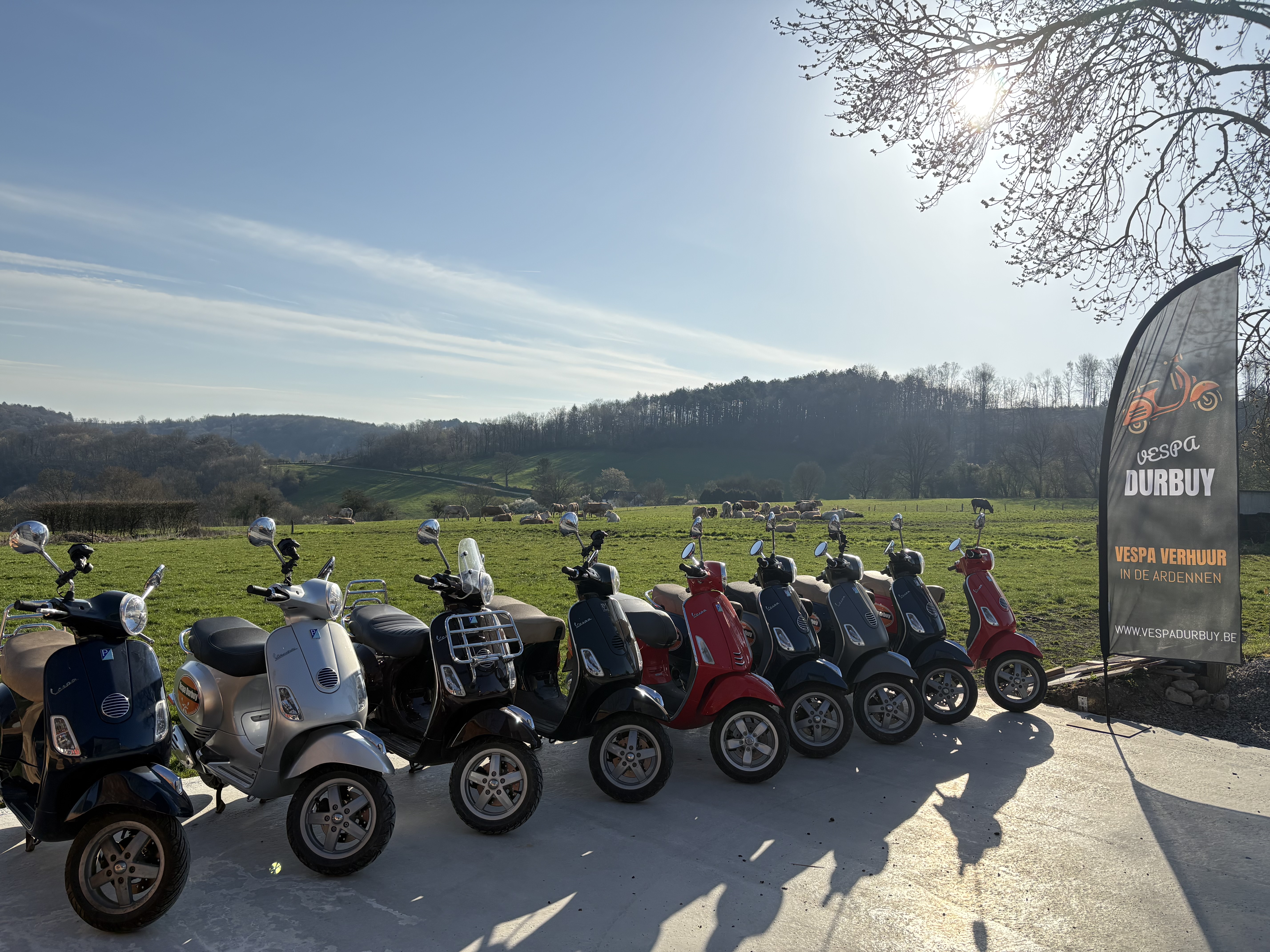 Kleurrijke Vespa scooters in de Ardennen bij Durbuy
